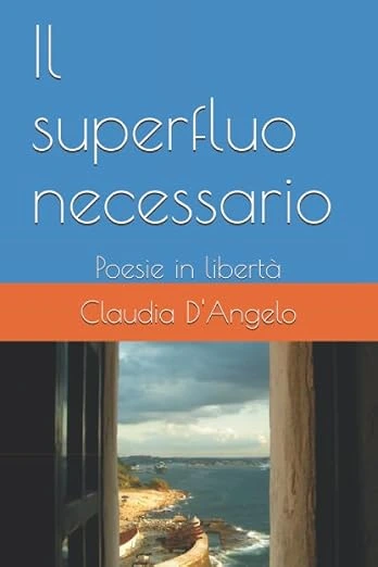 Copertina del libro «Il superfluo necessario»